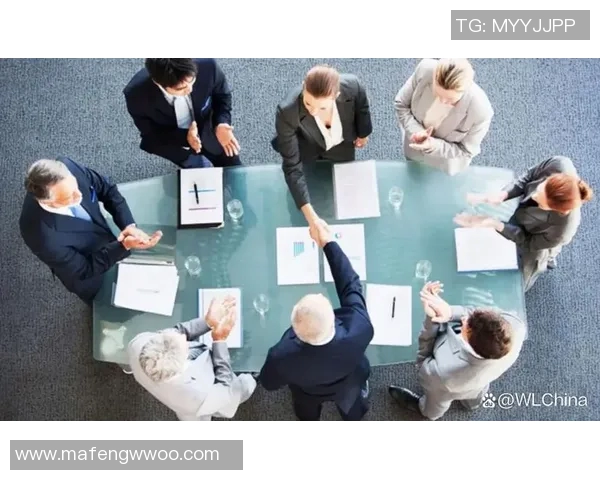 保险公司与战报的较量：如何在风险管理中实现双赢策略