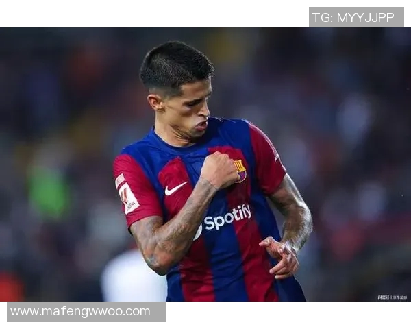 坎塞洛:从边后卫到全能战士的蜕变之路与足球哲学探讨 坎塞洛:从边后卫到全能战士的蜕变之路与足球哲学探讨