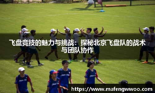 飞盘竞技的魅力与挑战：探秘北京飞盘队的战术与团队协作