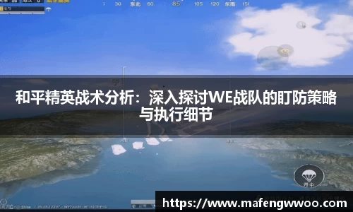 和平精英战术分析：深入探讨WE战队的盯防策略与执行细节