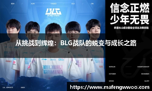 从挑战到辉煌：BLG战队的蜕变与成长之路