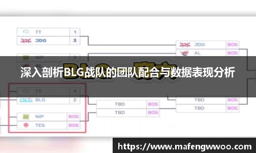 深入剖析BLG战队的团队配合与数据表现分析
