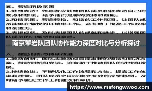 南京攀岩队团队协作能力深度对比与分析探讨