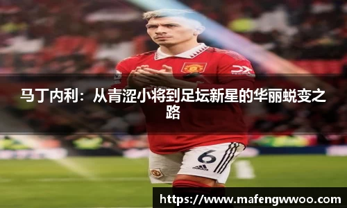 马丁内利：从青涩小将到足坛新星的华丽蜕变之路